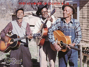 Joel, Sam and John Henry Hopkins; source: front cover of Arhoolie CD 340; photographer: Chris Strachwitz; click to enlarge !