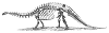 All brontosauruses are thin at one end, much, much thicker in the middle, and then thin again at the far end