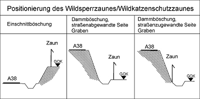 Positionierung des Wildkatzen-Schutzzauns