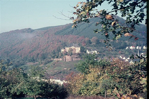 (Foto von Annette Metz)