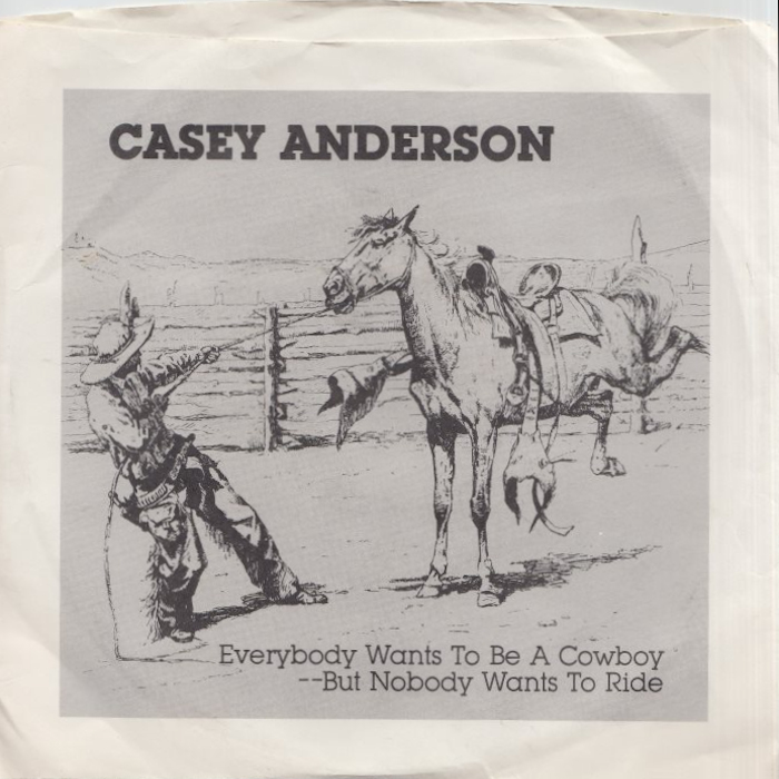 Illustrated Casey Anderson discography