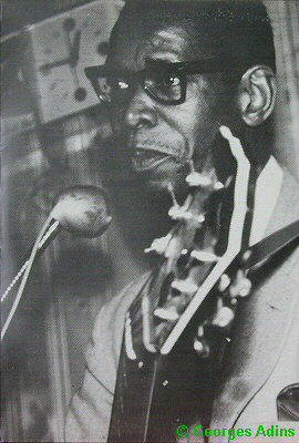 Illustrated Elmore James discography