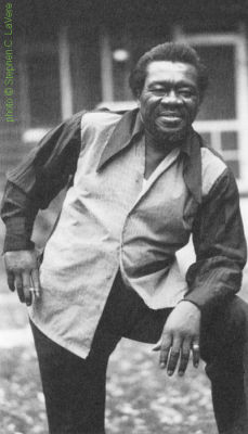 Joe Willie Wilkins; source: Notes of Memphis Archives CD MA 7009 (US 1994) 'Memphis Blues Caravan Vol. II'; photographer: Stephen C. LaVere; click to enlarge!