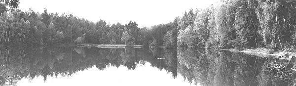 Blick auf den Rsselsweiher von Osten (Foto: Wirz 1981); zum Vergrern bitte Anklicken !