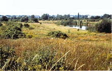 Gruenordnungskonzept 'DEURAG-NERAG', Hannover, Photo 'berblick Sdgelnde'; Anklicken vergroessert Photo