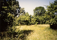 Gruenordnungsplan 'Seetorstrae', Rinteln, Photo 'Zustand'; Anklicken vergroessert Photo